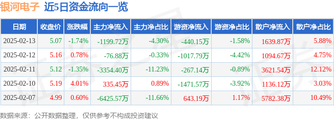股票行情快报：银河电子（002519）2月13日主力资金净卖出1199.72万元