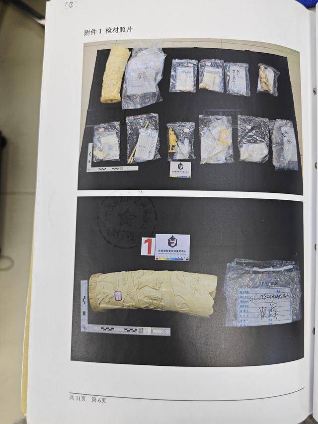 文玩店老板“海淘”象牙制品构成走私罪