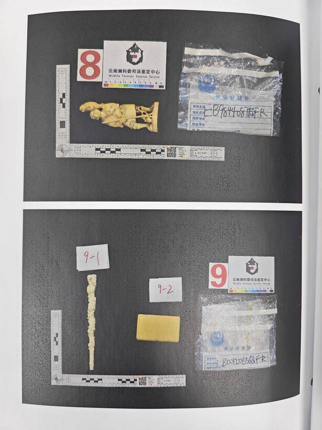 文玩店老板“海淘”象牙制品构成走私罪