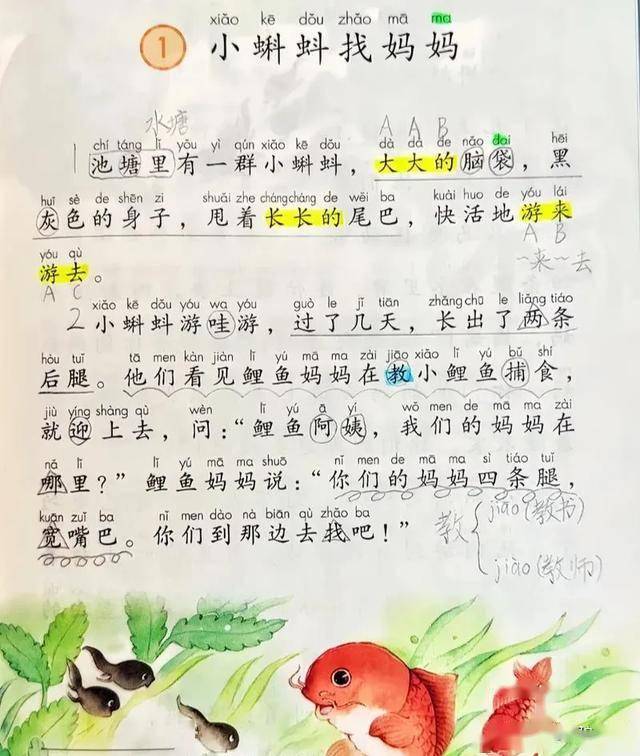 蝌蚪围着鲫鱼打转，是在“找妈妈”？别被骗了，它们是来开荤的