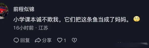 蝌蚪围着鲫鱼打转，是在“找妈妈”？别被骗了，它们是来开荤的